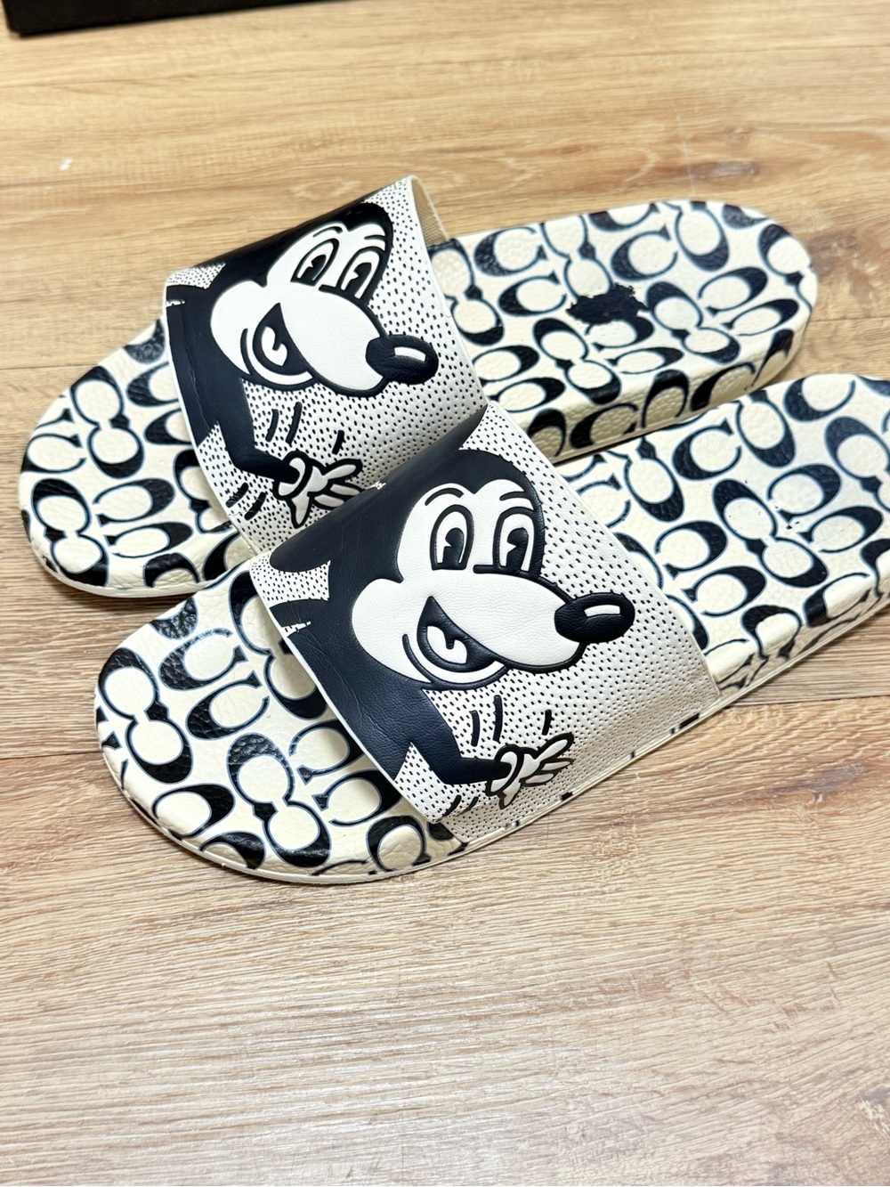 Disney x Coach x Keith Haring Udele Sport Slide